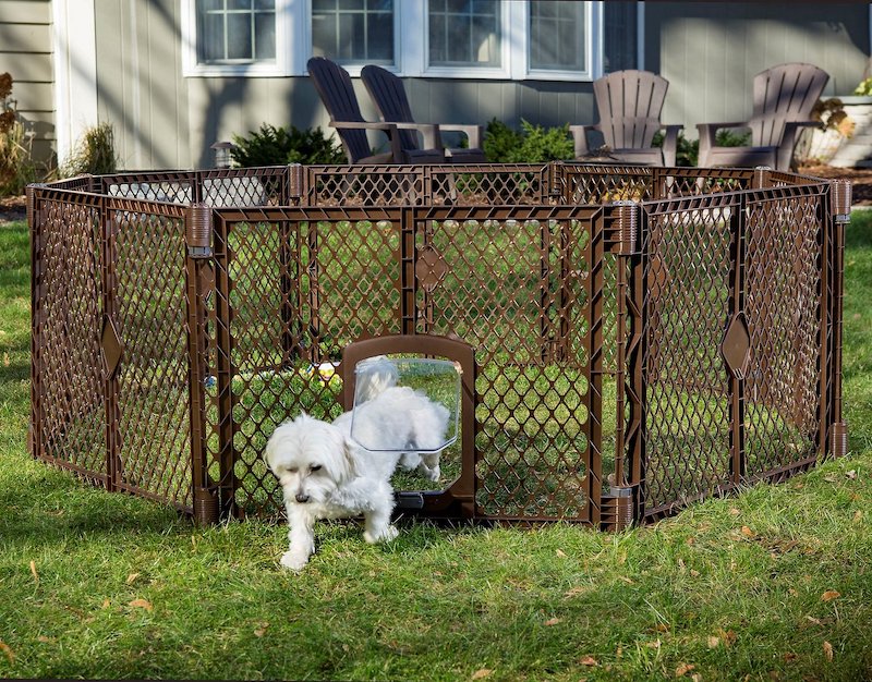 Dog Fencing to Keep Your Cat in Your Yard Related Information