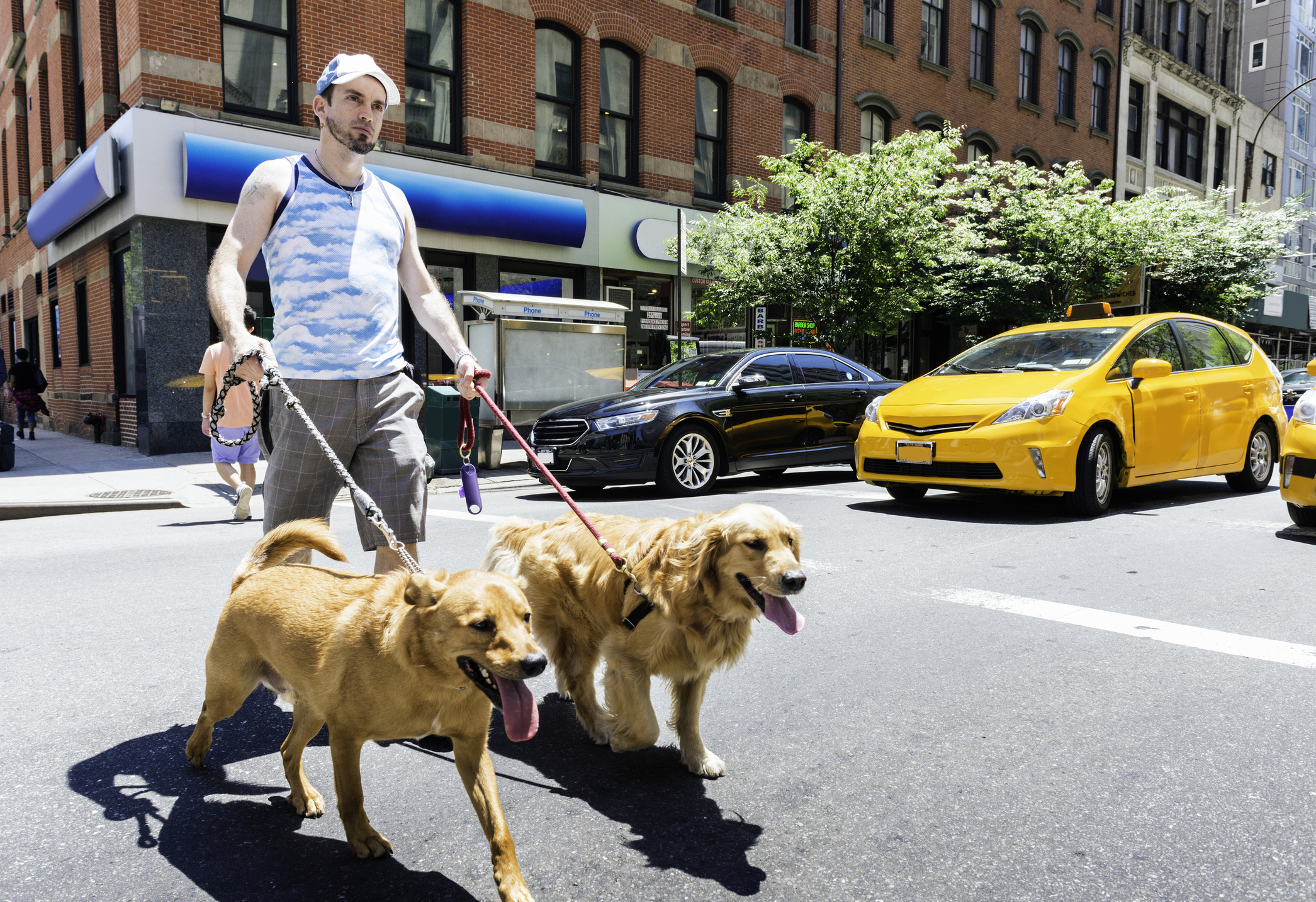 Important Options To Choose The Dog Walkers In Manhattan