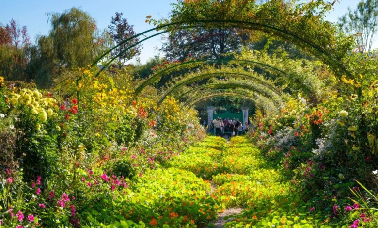 Top Ten Gardens from World Reviewer Related Information