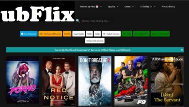 HubFlix- 300MB, 720p, movies download- is it safe?