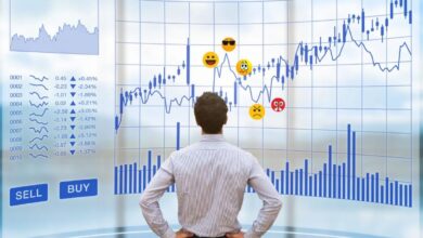 How to Master Your Emotions and Become a Successful Forex Trader