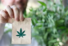 Buying Hash Online in Canada: Convenience and Quality at Your Fingertips