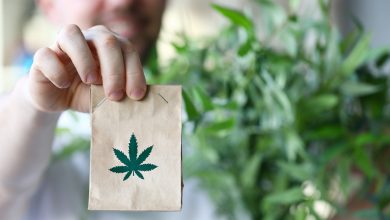 Buying Hash Online in Canada: Convenience and Quality at Your Fingertips